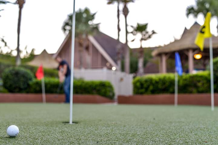 Mini-golf
