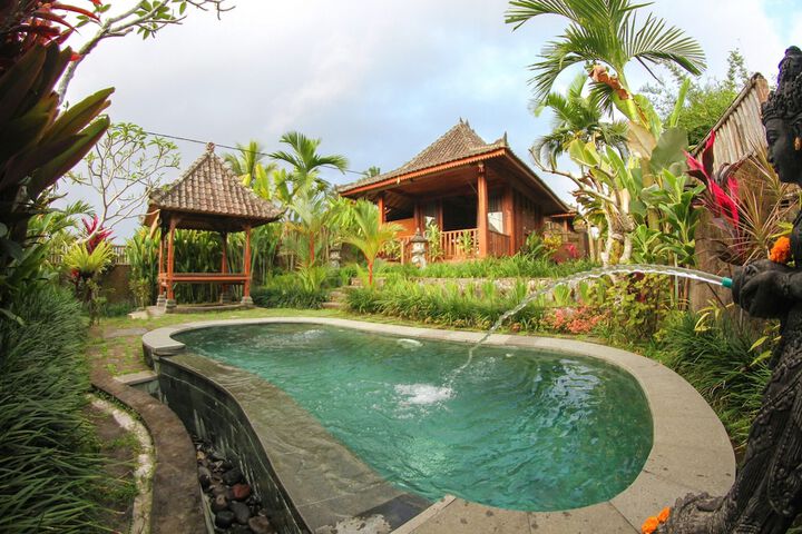 Belvilla Moksha Ceking Rice TerraceNearUbud Jungle Swing