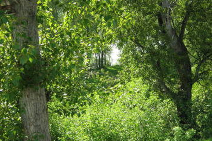 Property Grounds 14 of 14