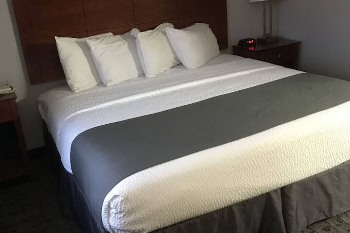Deluxe Suite King Bed (20 of 30)