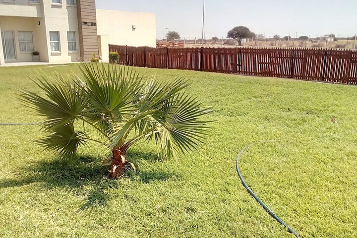 Property Grounds 45 of 82