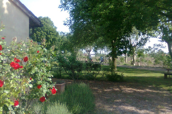 Property Grounds 39 of 56