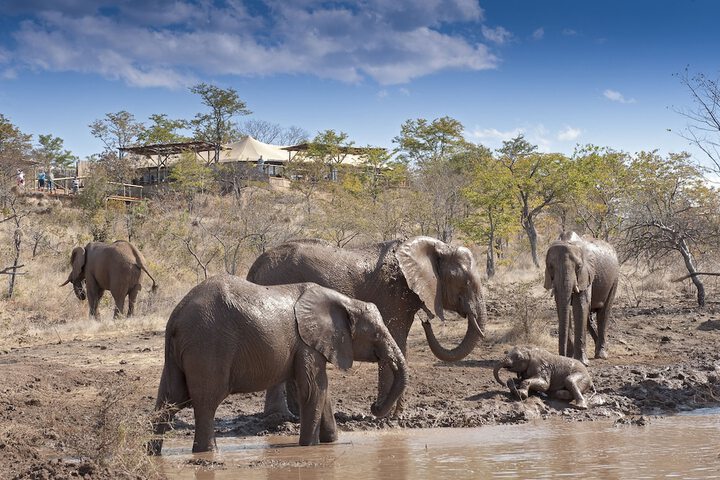 Exterior of The Elephant Camp