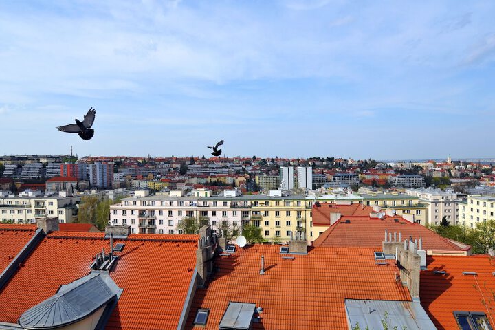 View from room