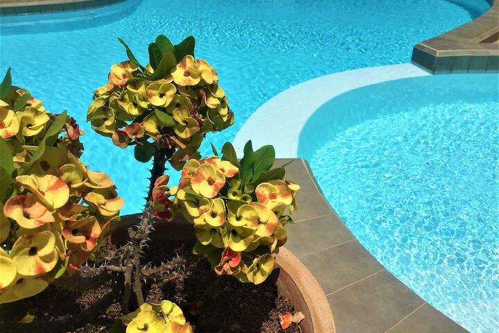 Pool 62 of 100