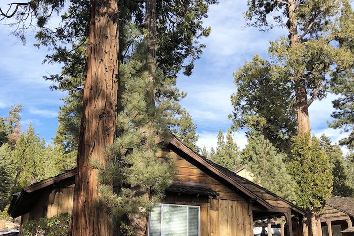 Property Grounds 126 of 138