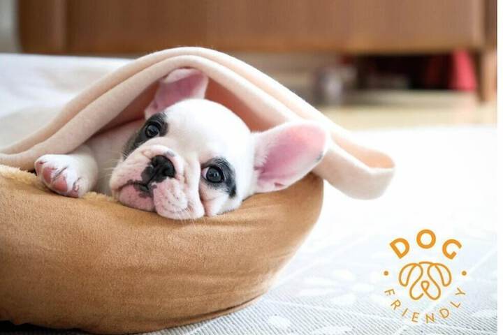 Pet Friendly 66 of 123