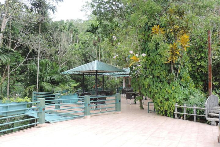 Terrace/Patio 26 of 65
