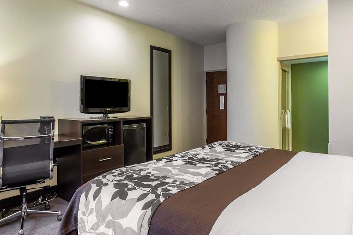 1 King Bed (4 of 7)