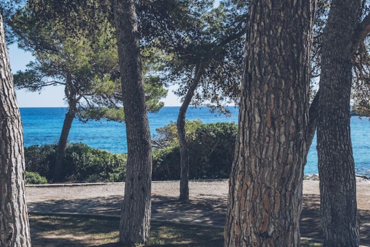 Beach 52 of 58