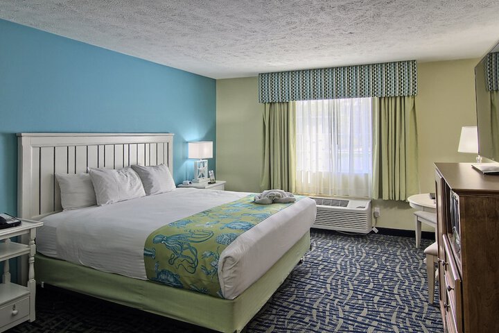 1 King Bed Petite Non Beach View (15 of 33)