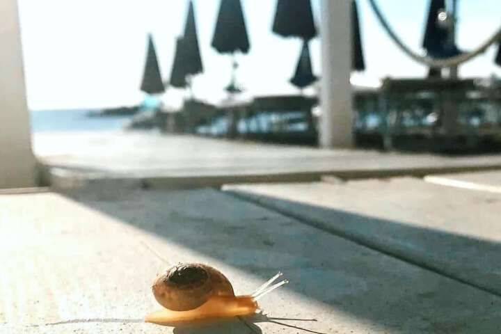 Beach 60 of 69