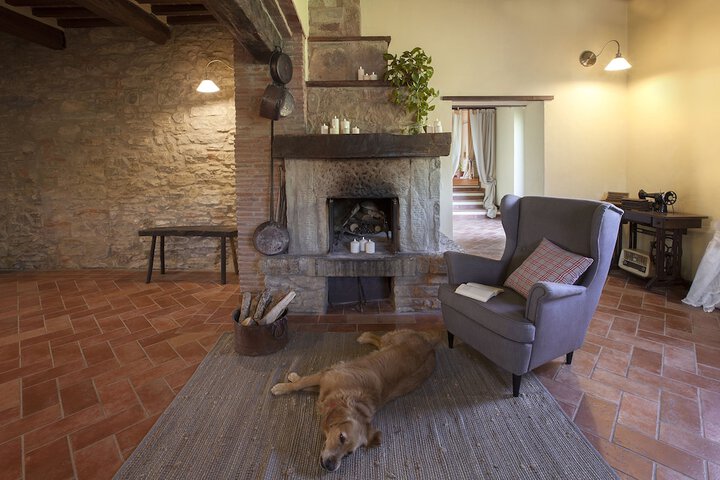 Pet Friendly 39 of 66