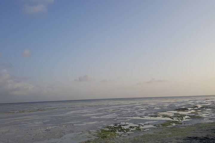 Beach 52 of 66