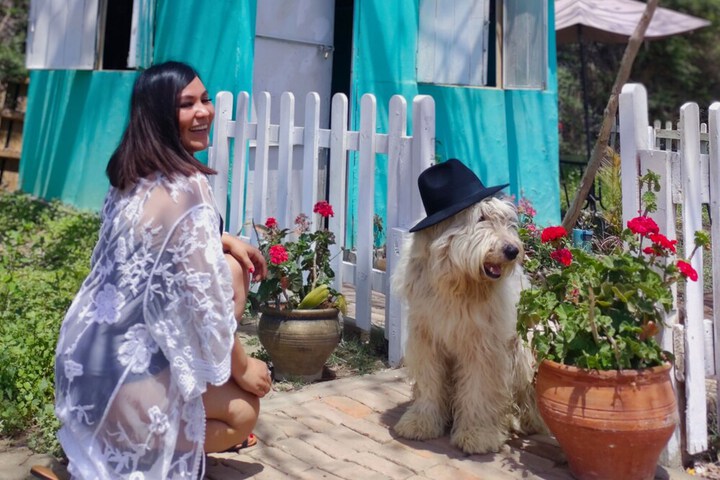Pet Friendly 140 of 199