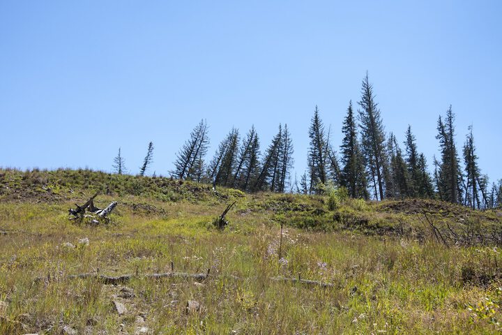 Outdoor Activities 19 of 36