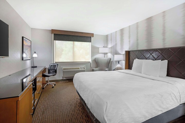 Room 8 of 37