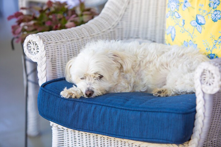 Terrace/Patio 7 of 44