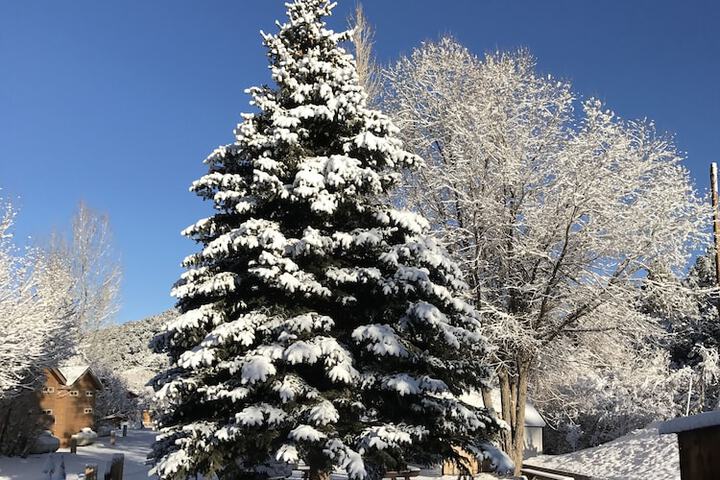 Property Grounds 51 of 64