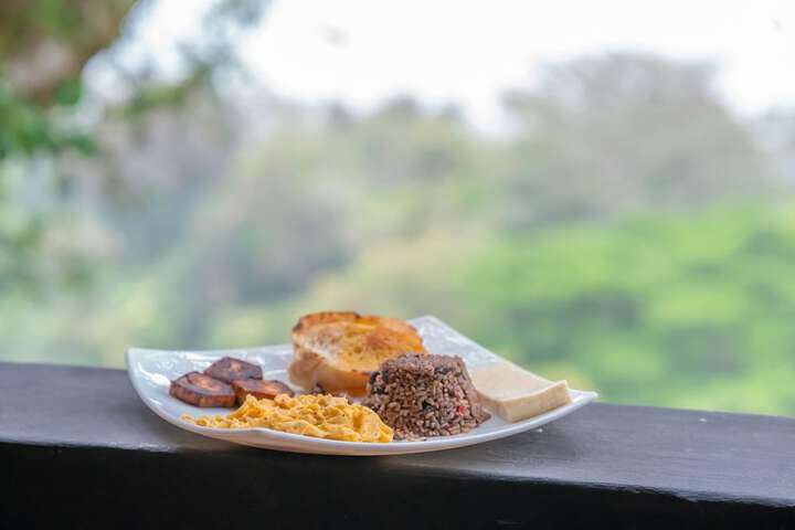 Dining 117 of 172