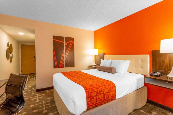1 Queen Bed (12 of 16)