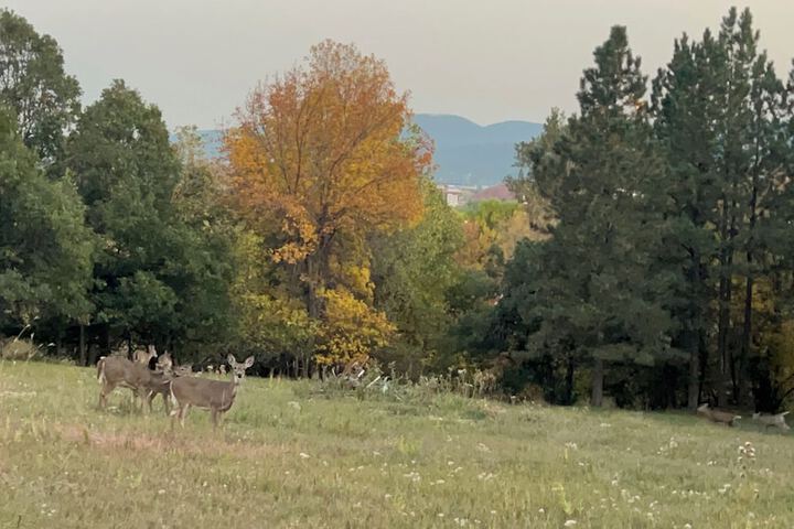 Hotel View 165 of 172