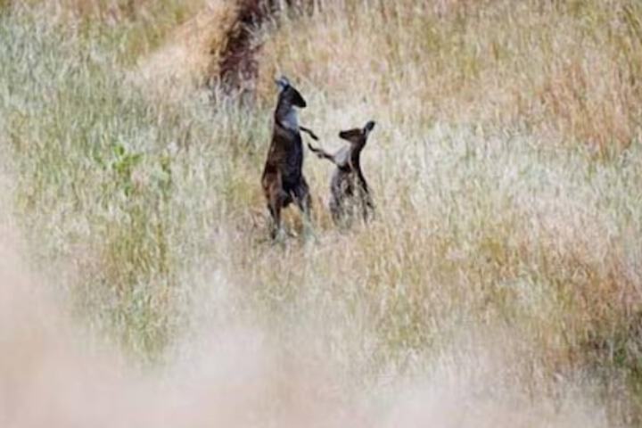 Property Grounds 11 of 13