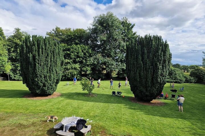 Garden view
