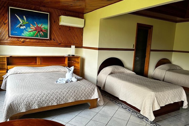 Room 14 of 81