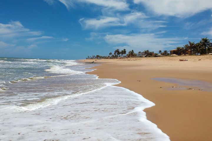 Beach 60 of 87