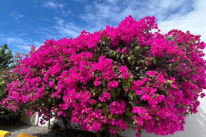 Hotel Exterior 142 of 174