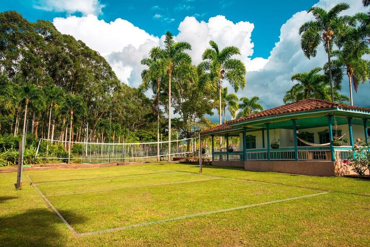 Sport court