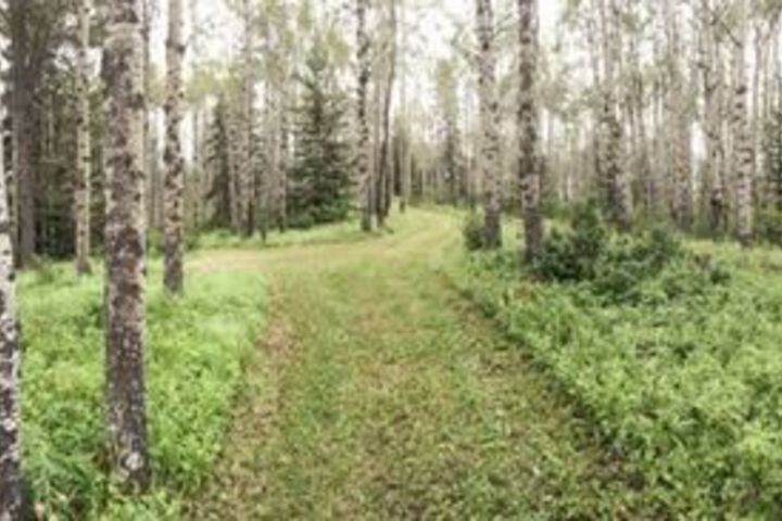 Property Grounds 47 of 67