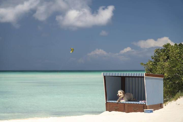 Beach 108 of 120