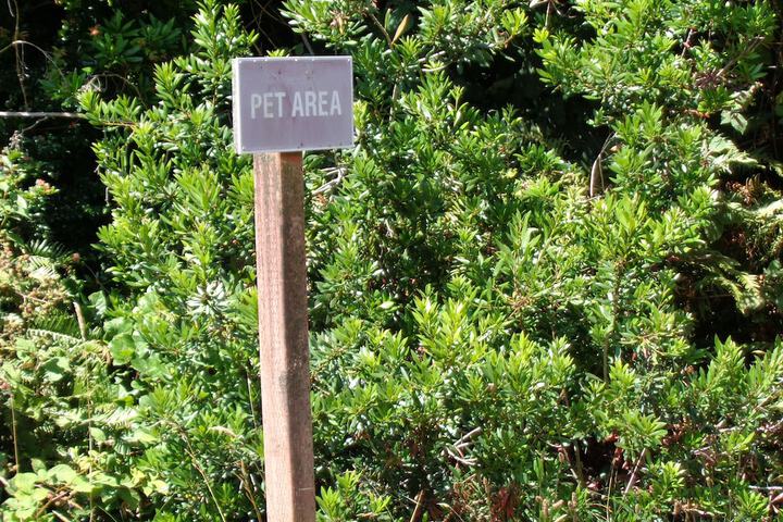 Pet-friendly
