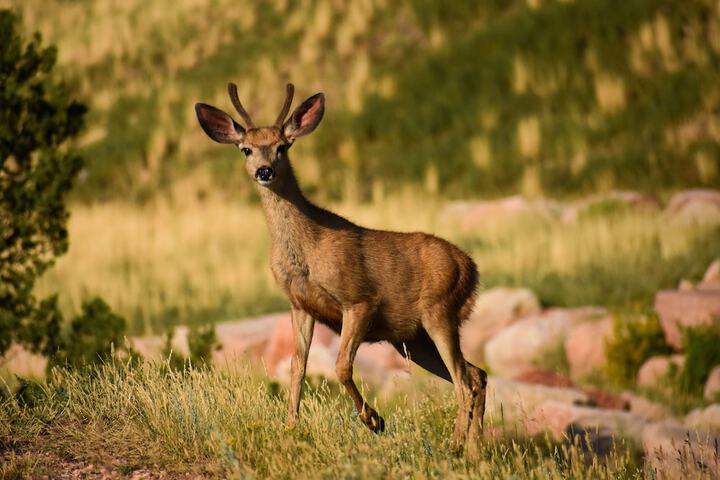 Outdoor Activities 45 of 87