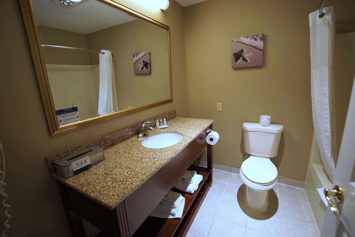 Double Accessible King Size Bed (7 of 16)