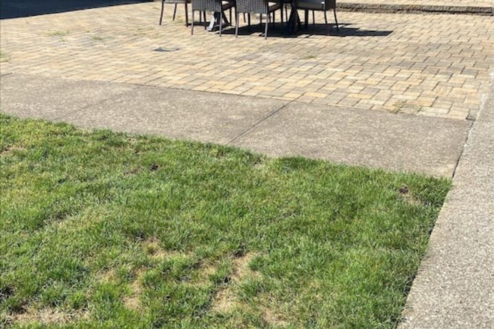 Hotel Exterior 41 of 45