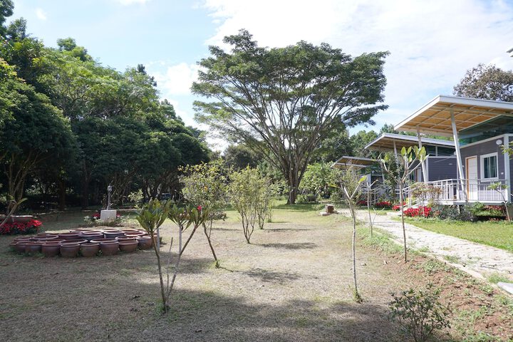 Property Grounds 22 of 37