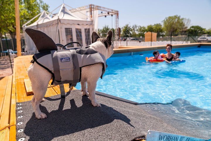Pet Friendly 105 of 122