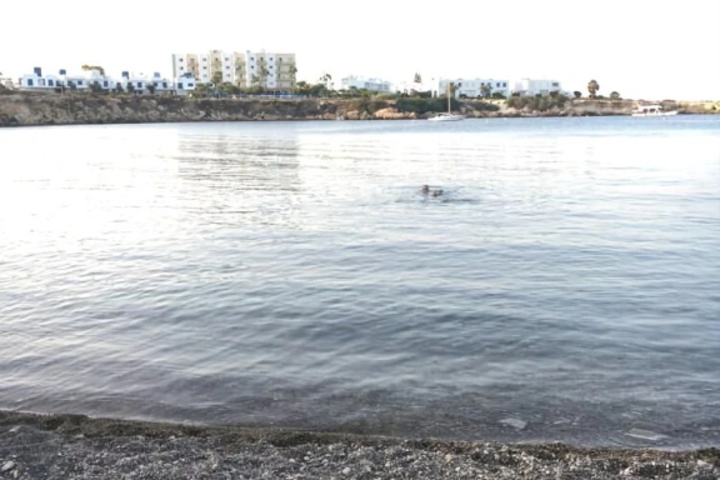 Beach 15 of 22
