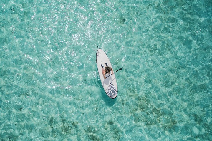 Surfing/boogie boarding