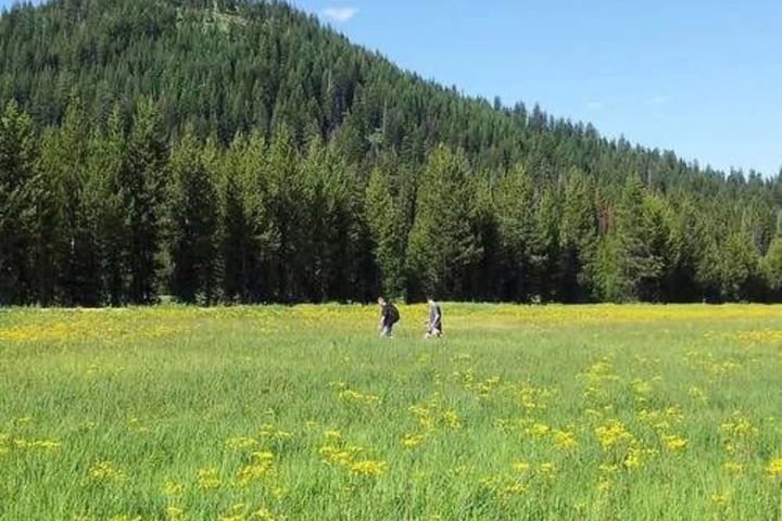 Property Grounds 23 of 45