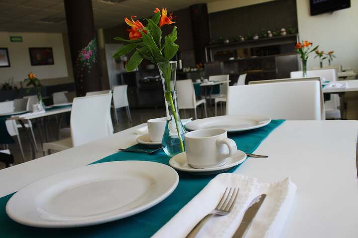 Dining 42 of 50