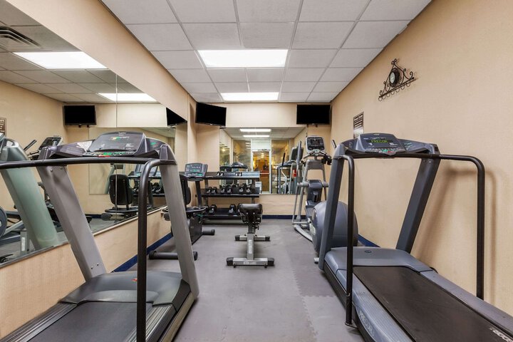 Gym & Fitness