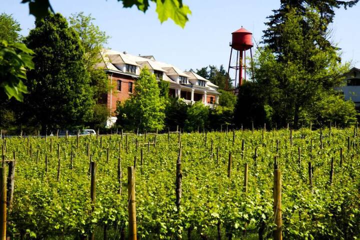 Hotel Exterior 91 of 125