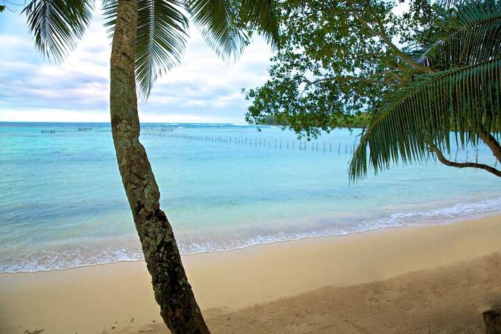 Beach 16 of 19