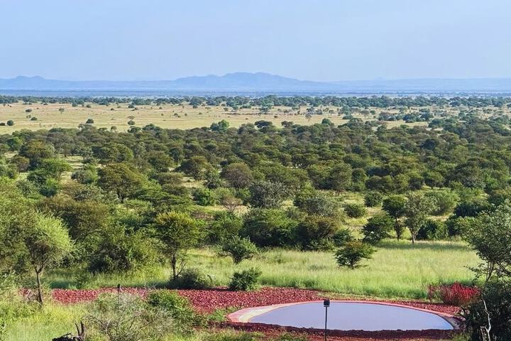 Game viewing
