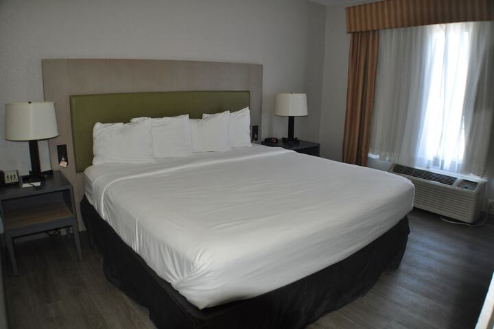 1 King Bed (15 of 24)