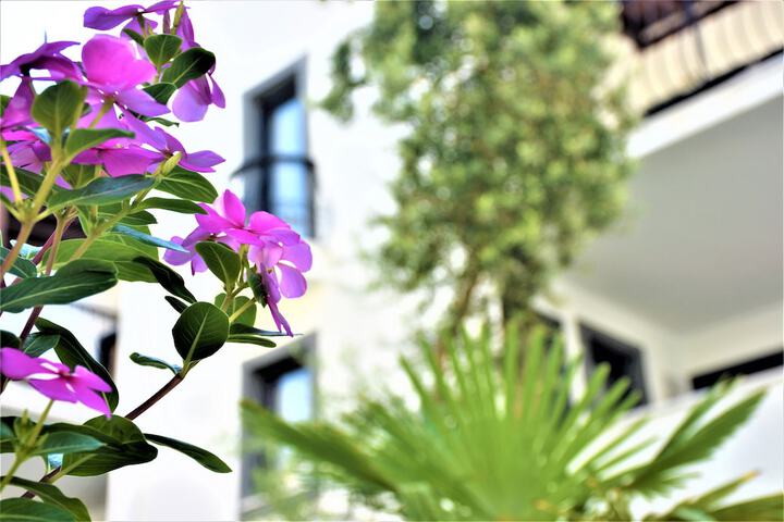 Hotel Exterior 66 of 76